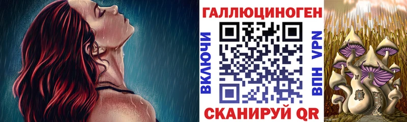 где купить наркоту Тавда Псилоцибиновые грибы ЛСД