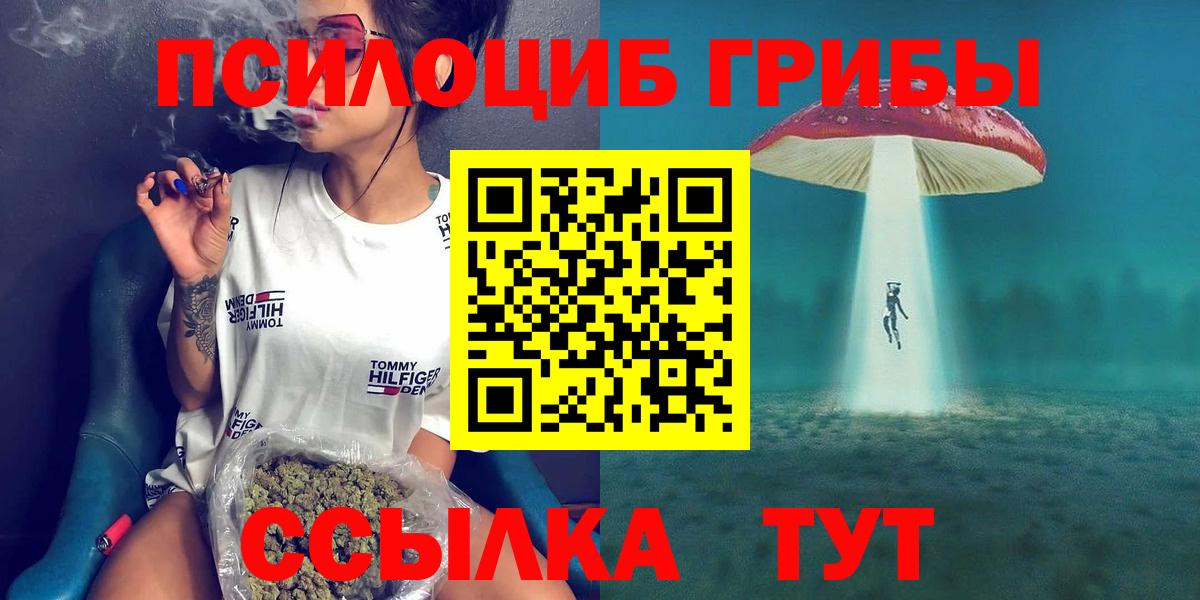Галлюциногенные грибы ЛСД  Вход с VPN  Галлюциногенные грибы Cubensis  продажа наркотиков  Тавда 
