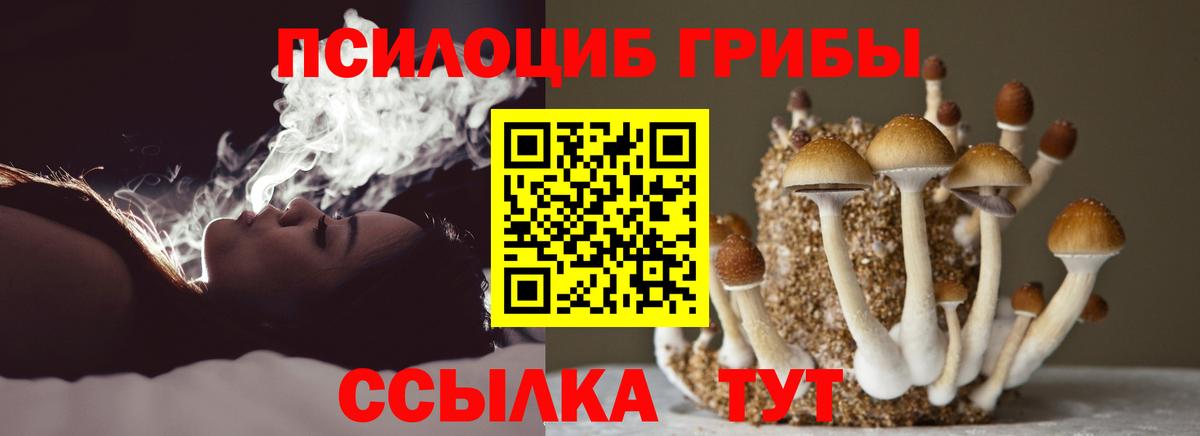 Галлюциногенные грибы мухоморы Тавда